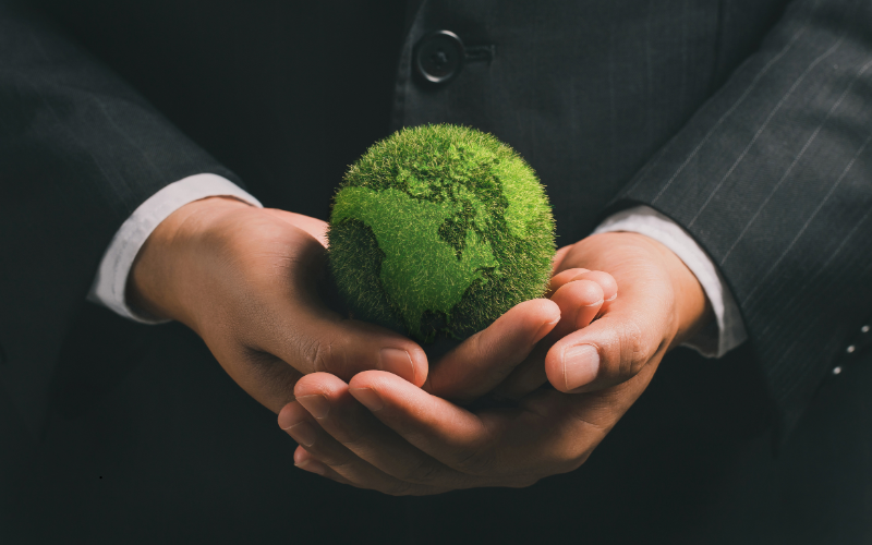 Comercio exterior sustentable cómo reducir tu huella 2