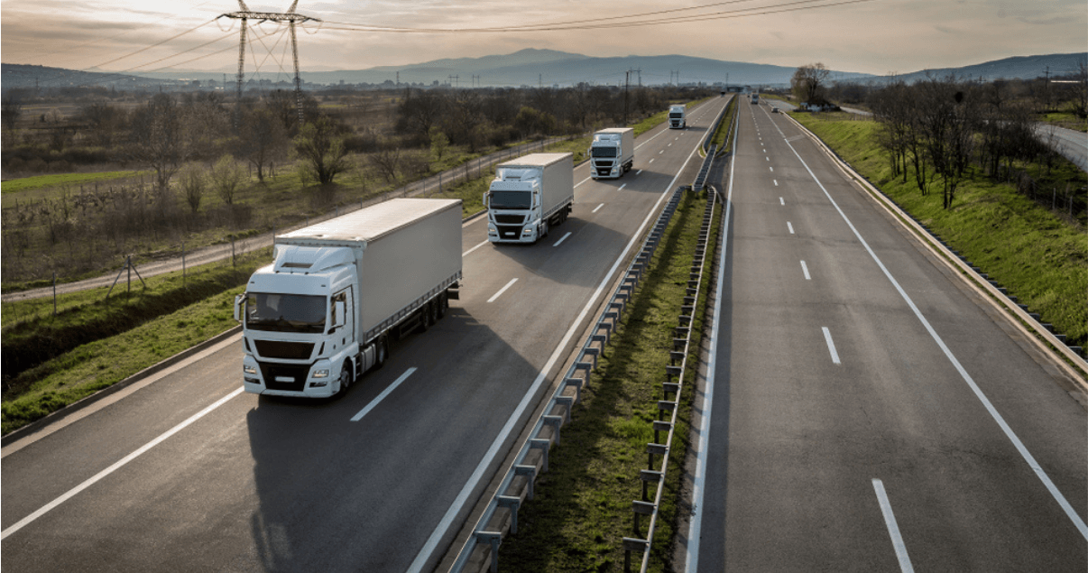 El Transportation Management System gana protagonismo en la distribución logística